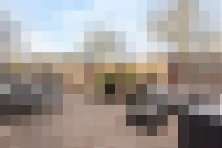 Sloetsweg 253 Hengelo thumbnail 19