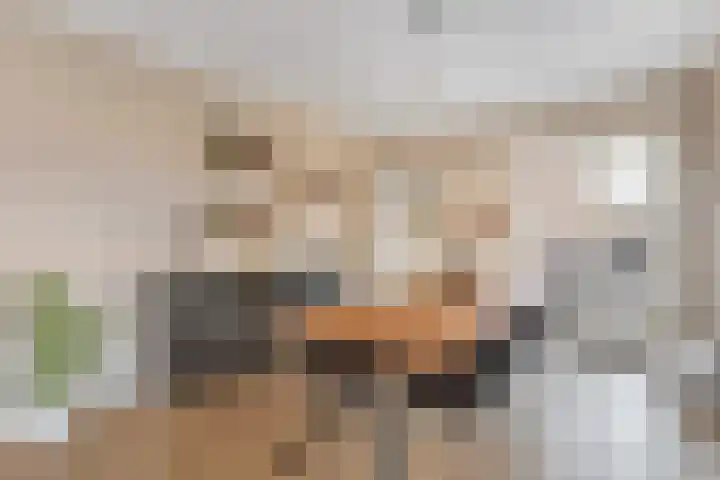 Sloetsweg 253 Hengelo thumbnail 9