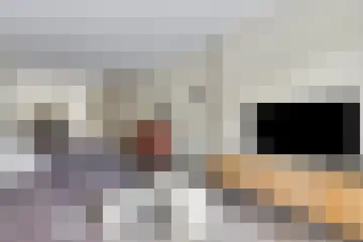 Sloetsweg 277 Hengelo thumbnail 10