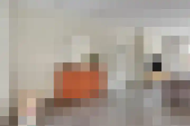 Sloetsweg 277 Hengelo thumbnail 14