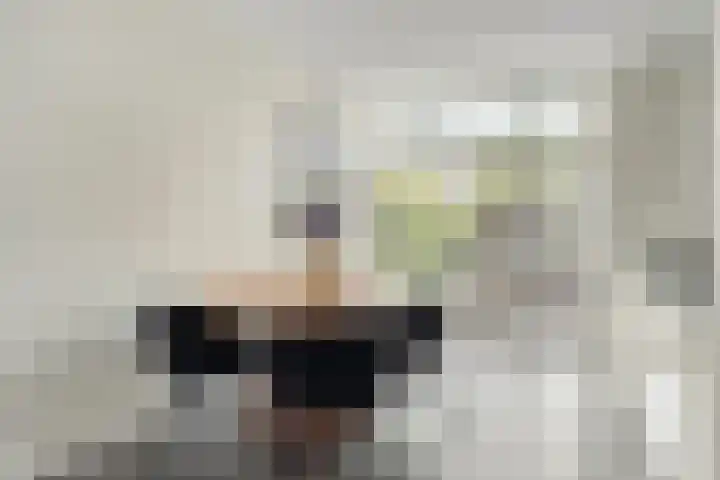 Sloetsweg 277 Hengelo thumbnail 16
