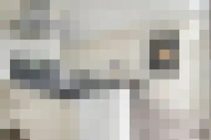 Sloetsweg 277 Hengelo thumbnail 20