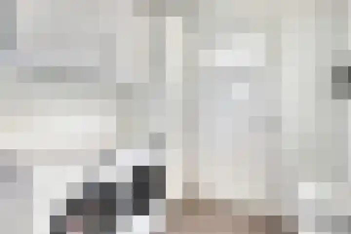 Sloetsweg 277 Hengelo thumbnail 24