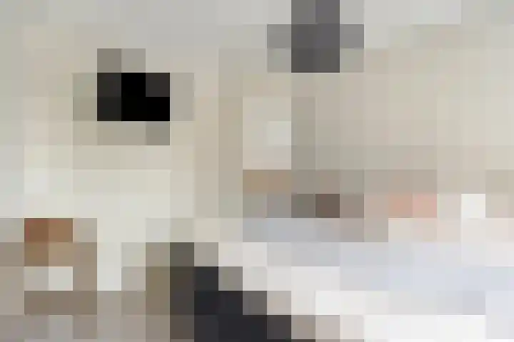 Sloetsweg 277 Hengelo thumbnail 27