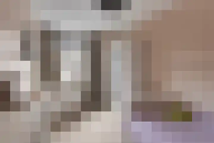 Sloetsweg 277 Hengelo thumbnail 29