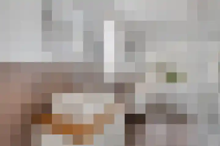 Sloetsweg 277 Hengelo thumbnail 33