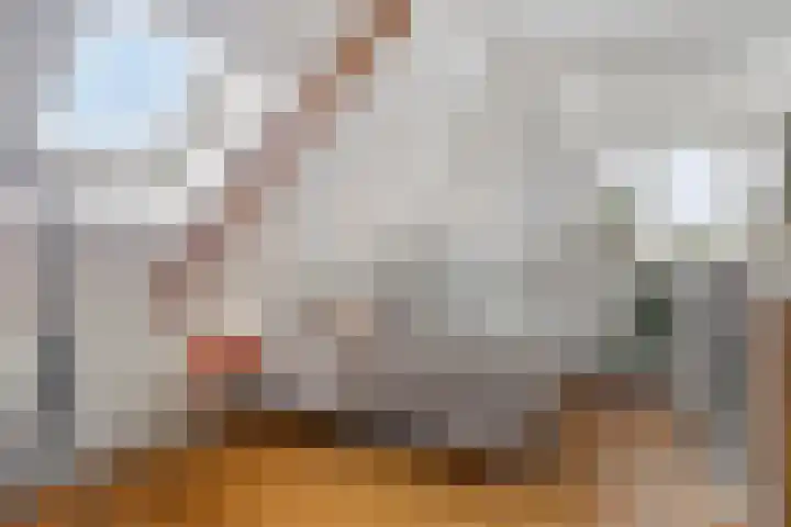 Sloetsweg 277 Hengelo thumbnail 35