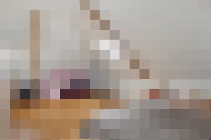 Sloetsweg 277 Hengelo thumbnail 37