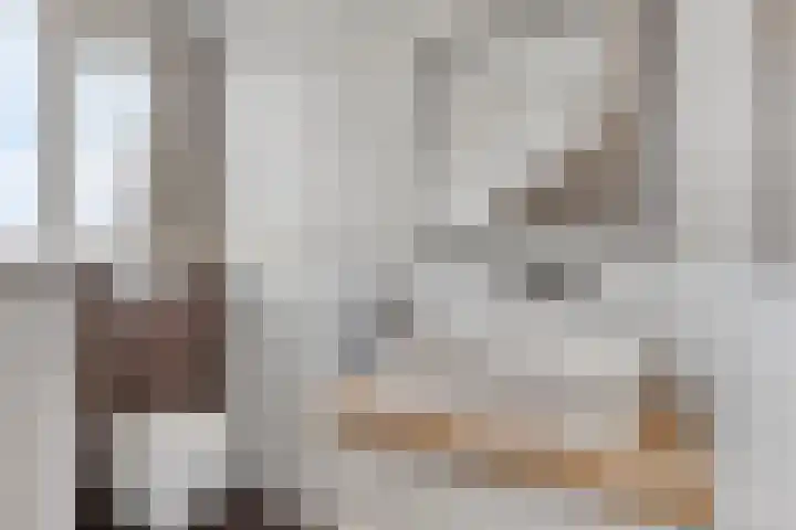 Sloetsweg 277 Hengelo thumbnail 39