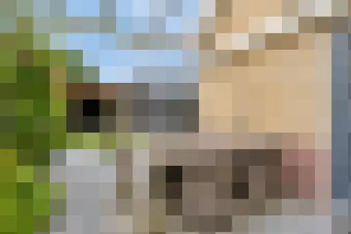Sloetsweg 277 Hengelo thumbnail 41
