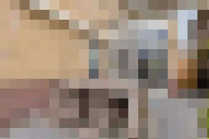 Sloetsweg 277 Hengelo thumbnail 42