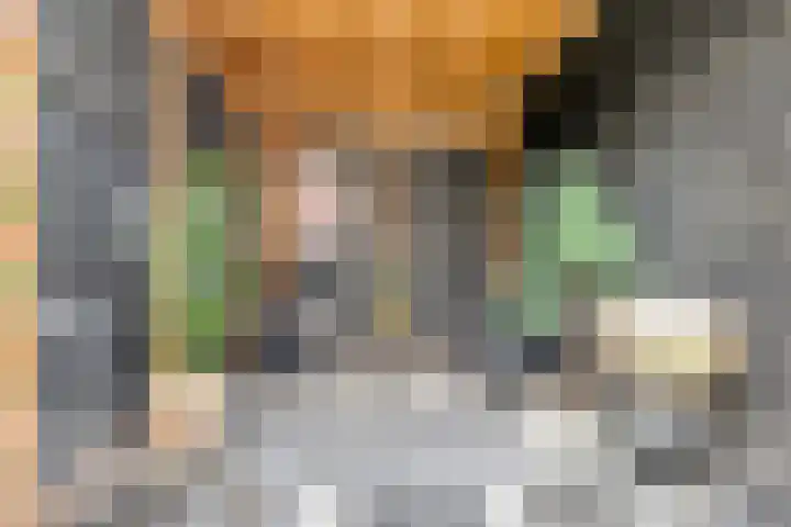 Sloetsweg 277 Hengelo thumbnail 43
