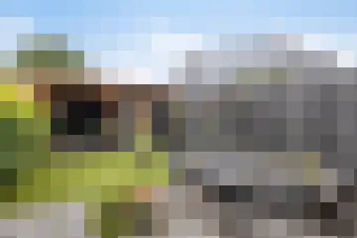 Sloetsweg 277 Hengelo thumbnail 5