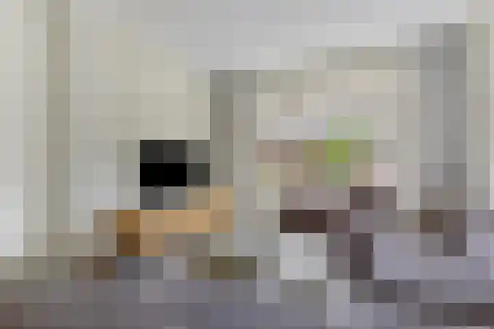 Sloetsweg 277 Hengelo thumbnail 8