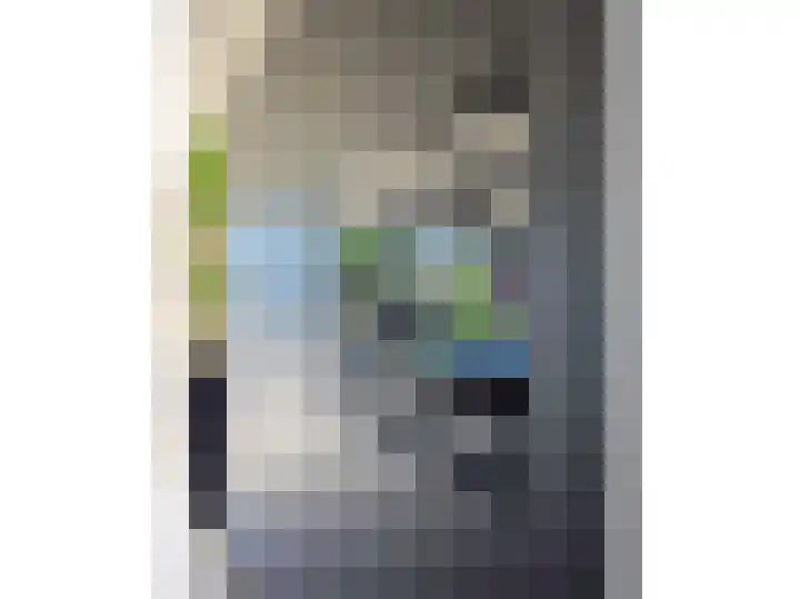 Sloetsweg 283 Hengelo thumbnail 18