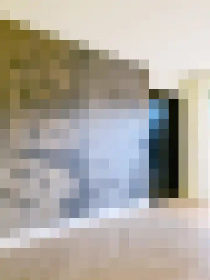 Sloetsweg 283 Hengelo thumbnail 34
