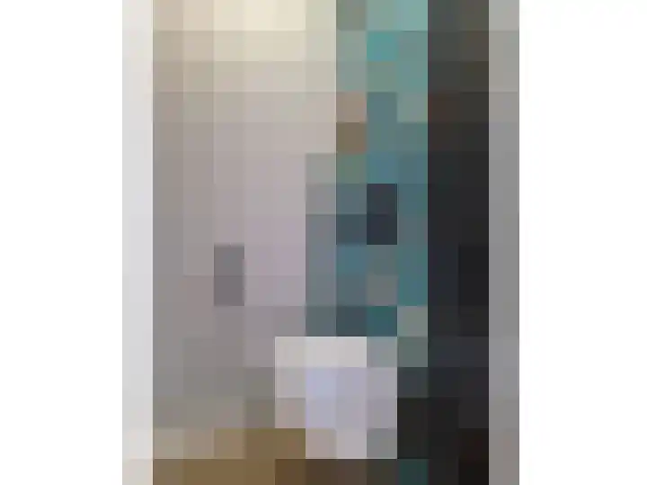 Sloetsweg 283 Hengelo thumbnail 36
