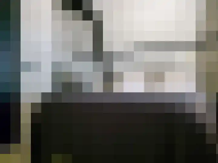 Sloetsweg 283 Hengelo thumbnail 52