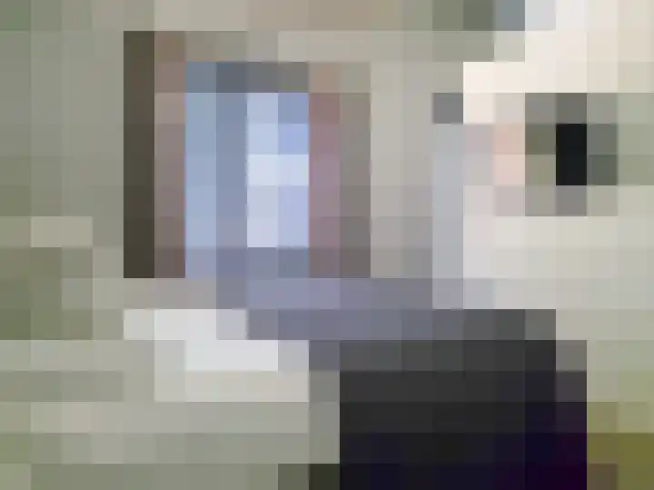 Sloetsweg 283 Hengelo thumbnail 54