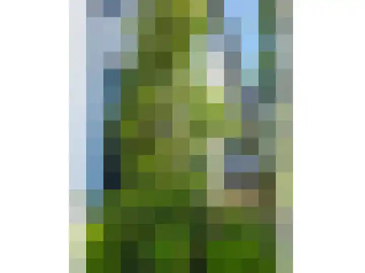 Sloetsweg 283 Hengelo thumbnail 6