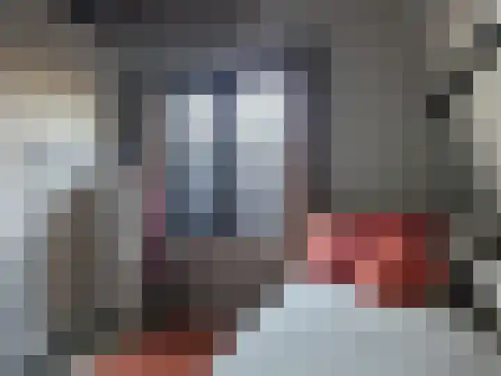 Sloetsweg 283 Hengelo thumbnail 63