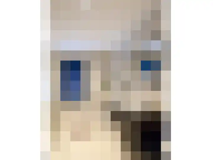 Sloetsweg 283 Hengelo thumbnail 68