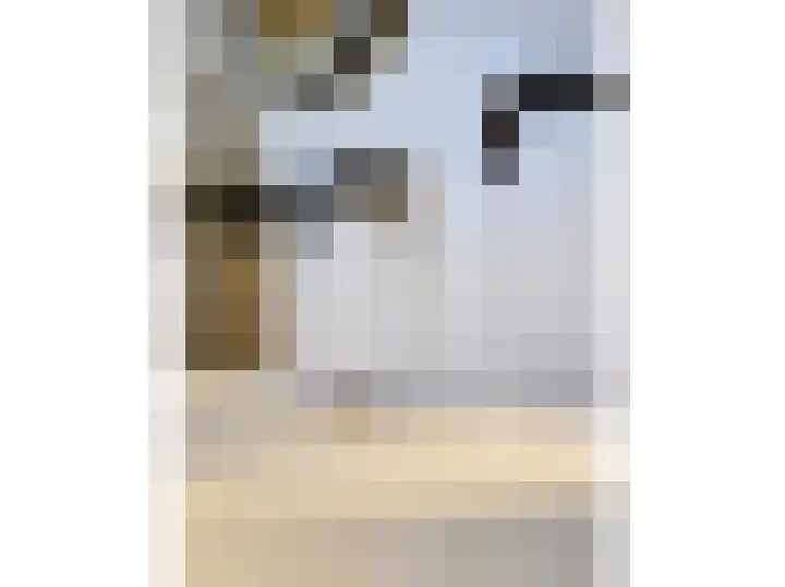 Sloetsweg 283 Hengelo thumbnail 69