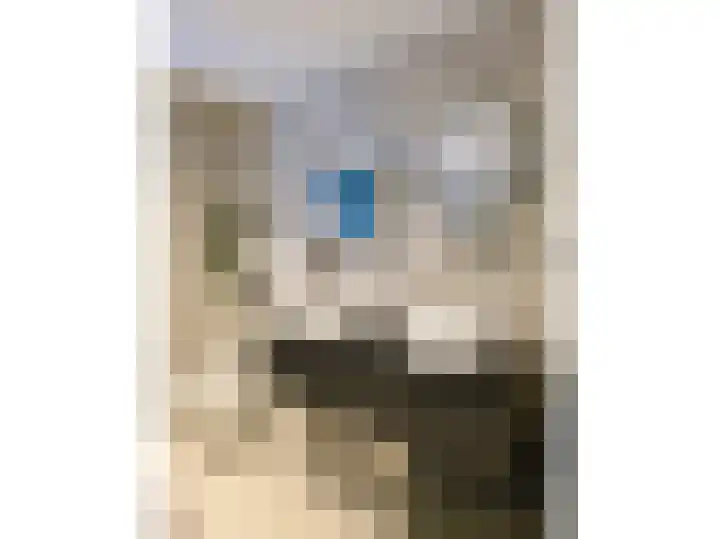 Sloetsweg 283 Hengelo thumbnail 70