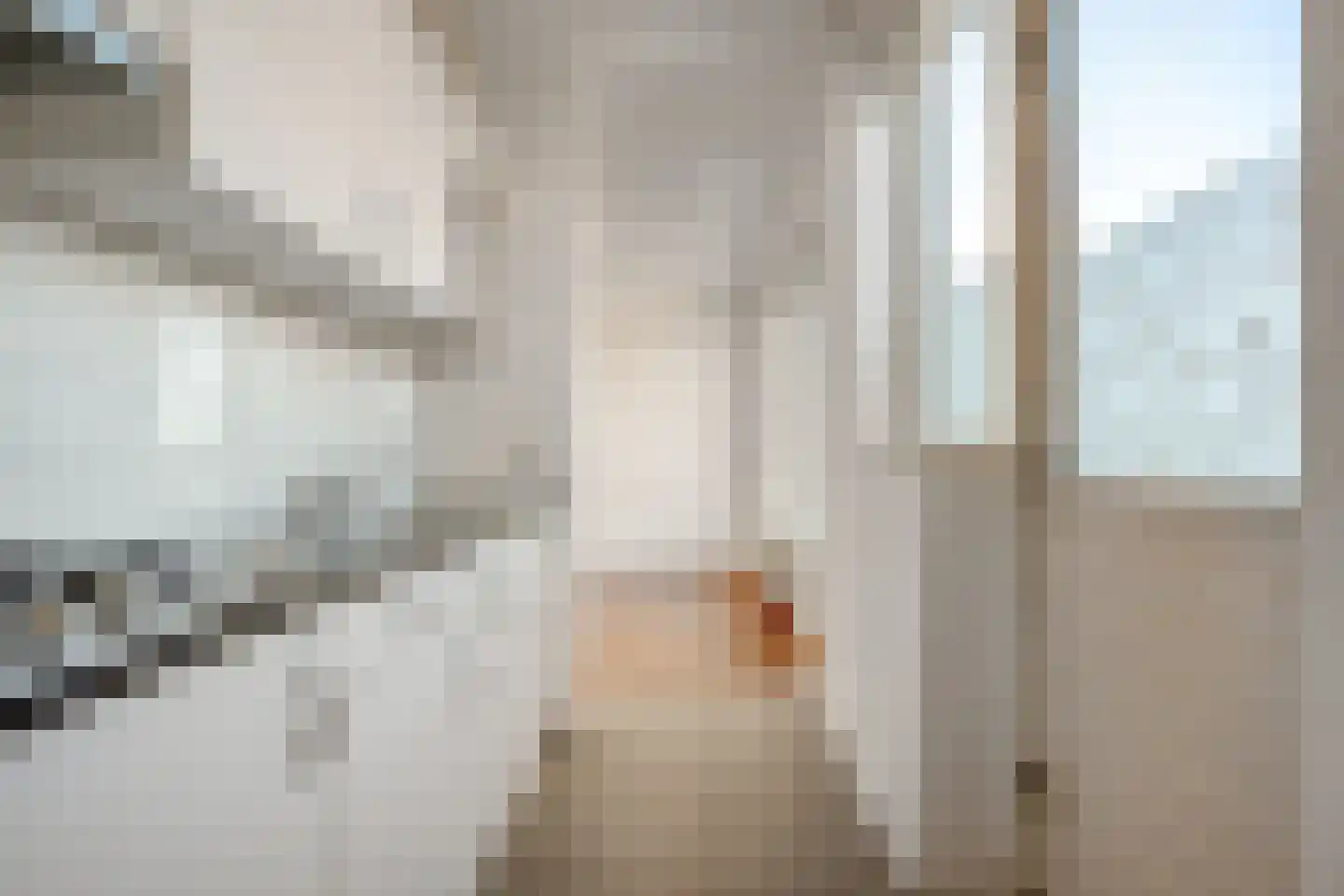 Sloetsweg 35 Hengelo thumbnail 21