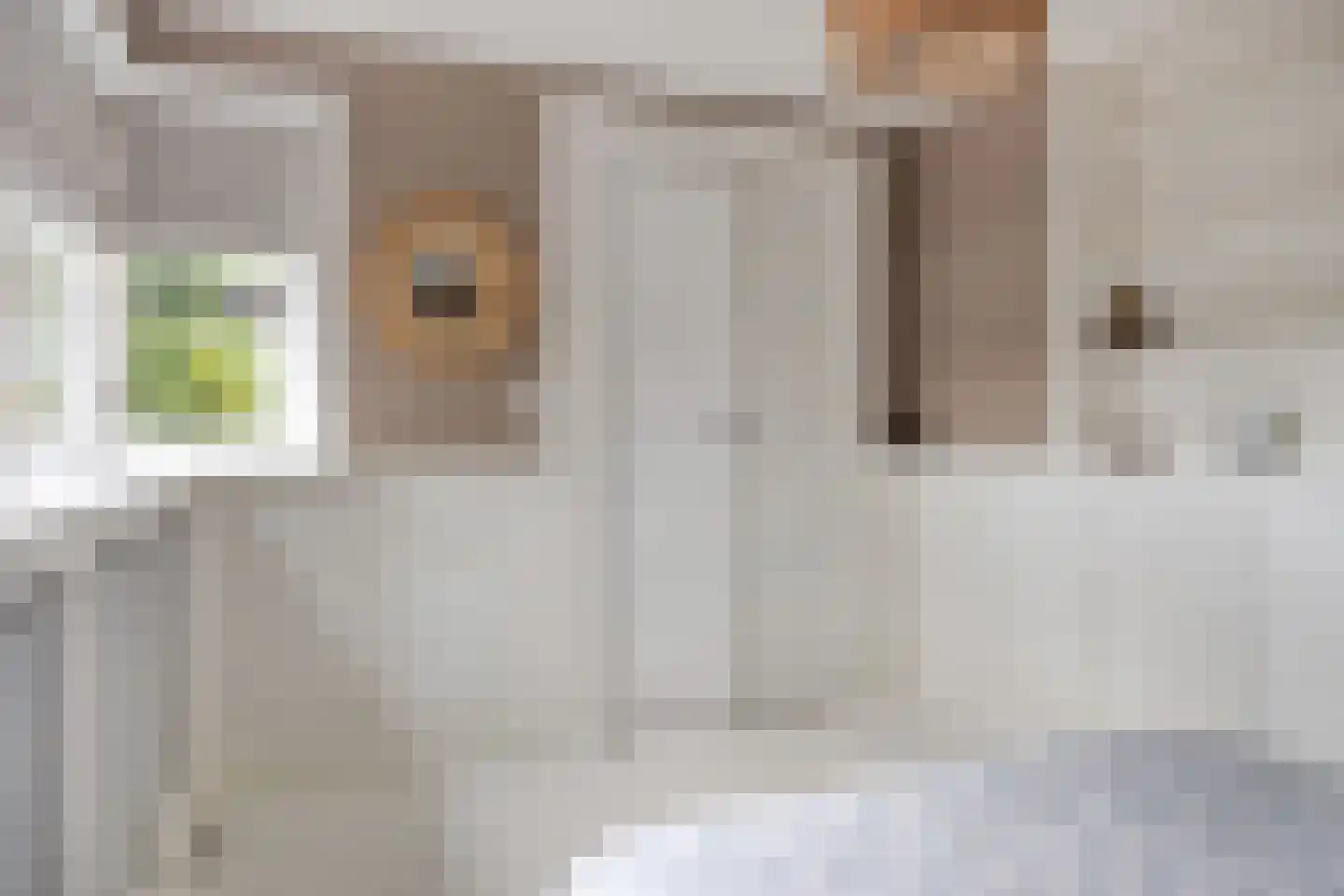 Sloetsweg 49 Hengelo thumbnail 18