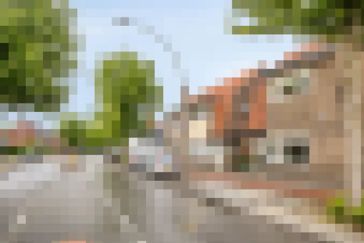 Sloetsweg 49 Hengelo thumbnail 36