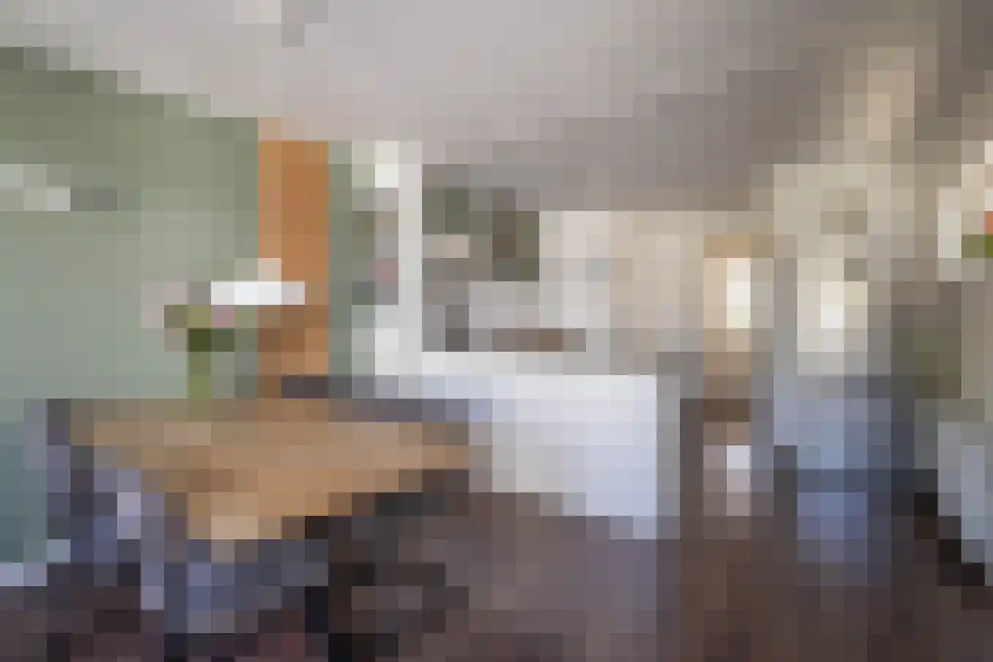 Sloetsweg 52 Hengelo thumbnail 11