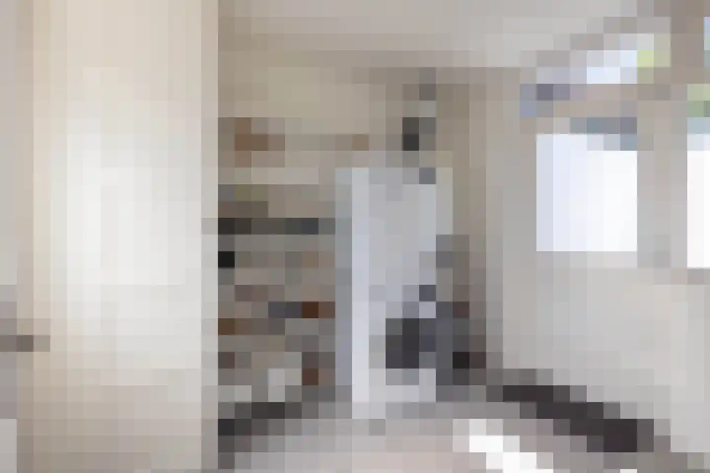 Sloetsweg 52 Hengelo thumbnail 13