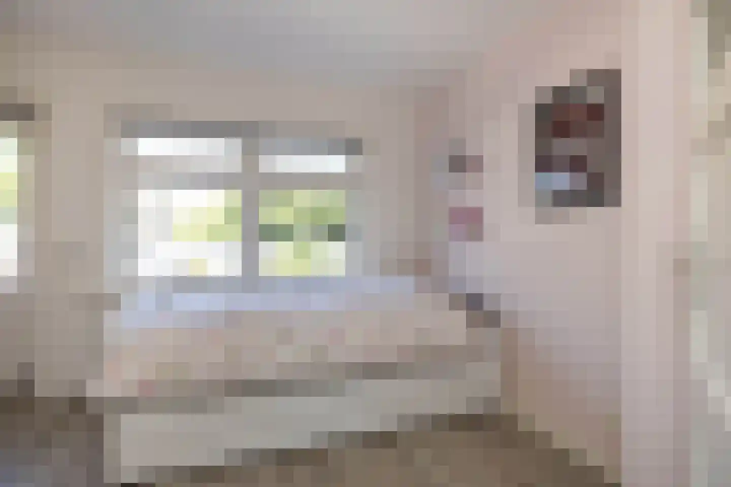 Sloetsweg 52 Hengelo thumbnail 16