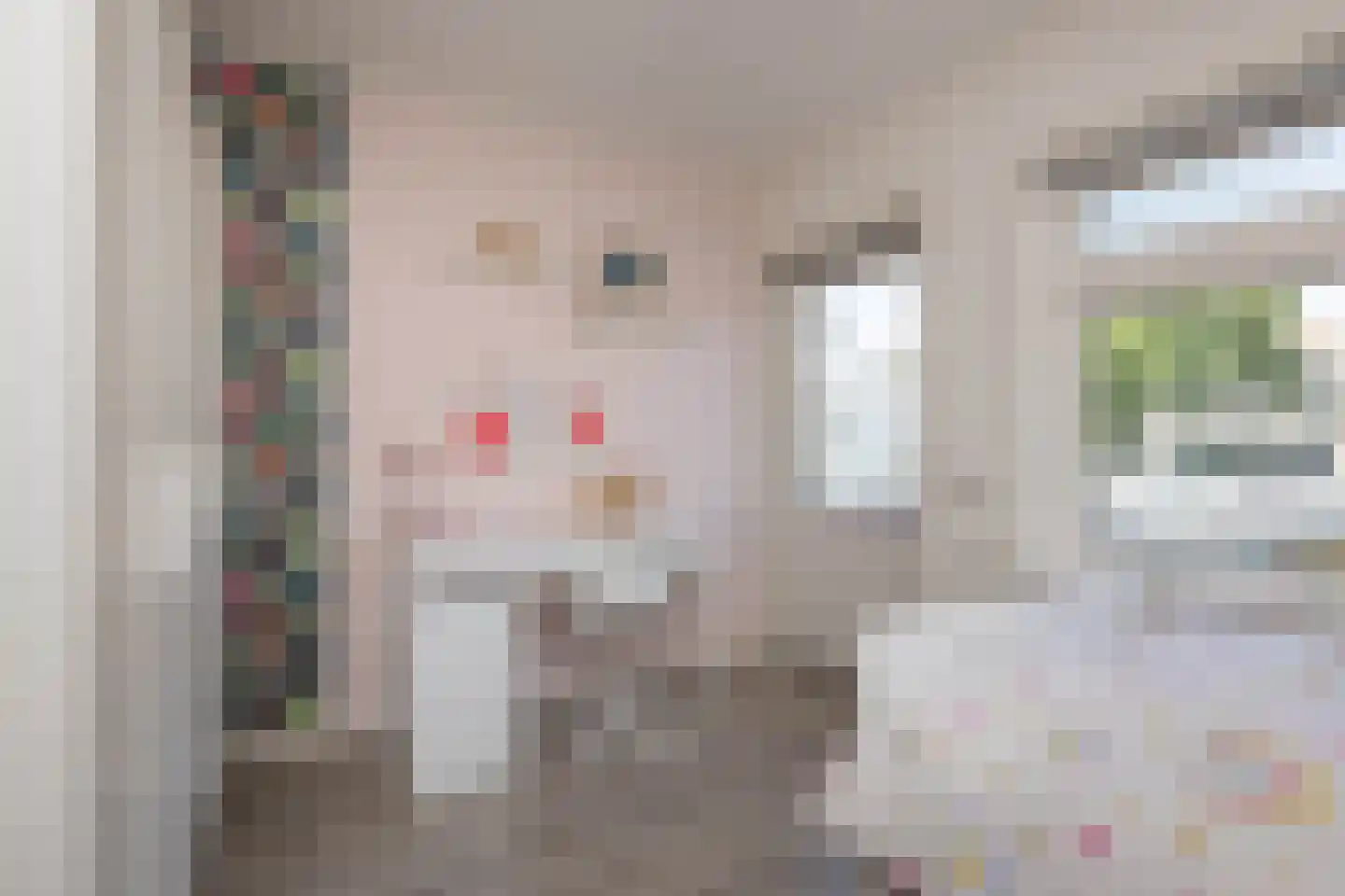 Sloetsweg 52 Hengelo thumbnail 17
