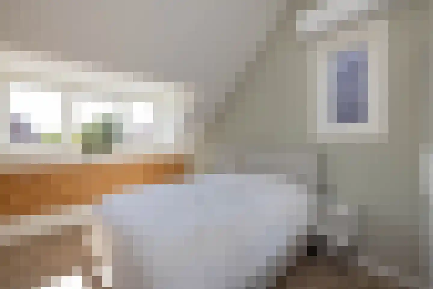 Sloetsweg 52 Hengelo thumbnail 20