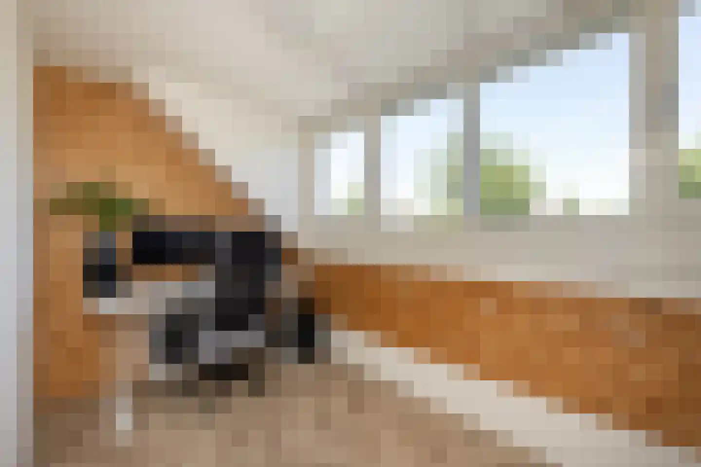 Sloetsweg 52 Hengelo thumbnail 21