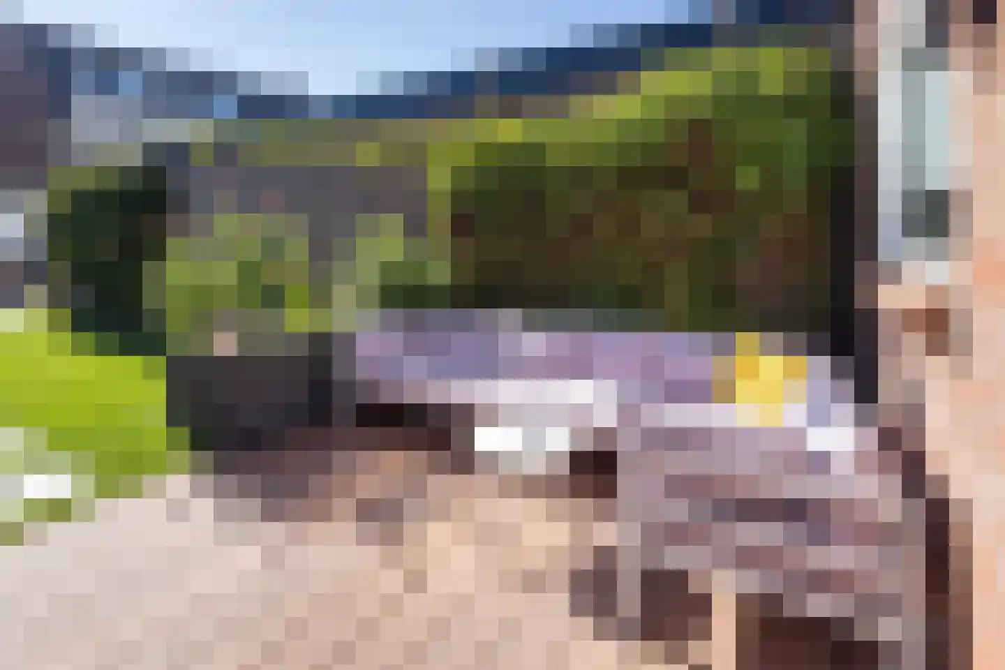 Sloetsweg 52 Hengelo thumbnail 26