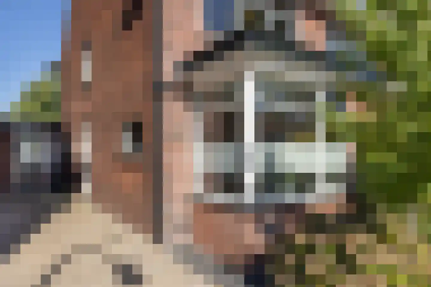 Sloetsweg 52 Hengelo thumbnail 34