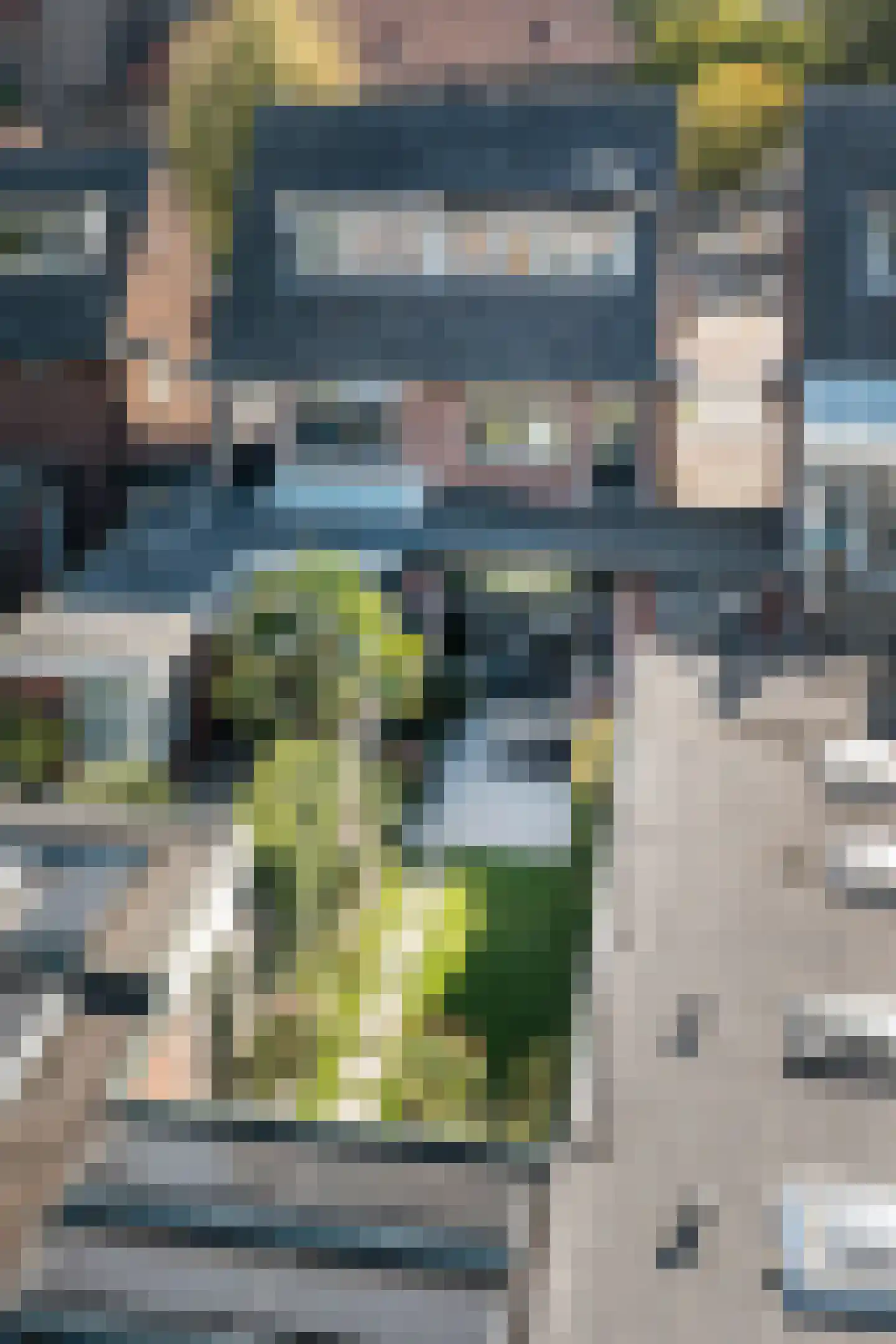 Sloetsweg 52 Hengelo thumbnail 37