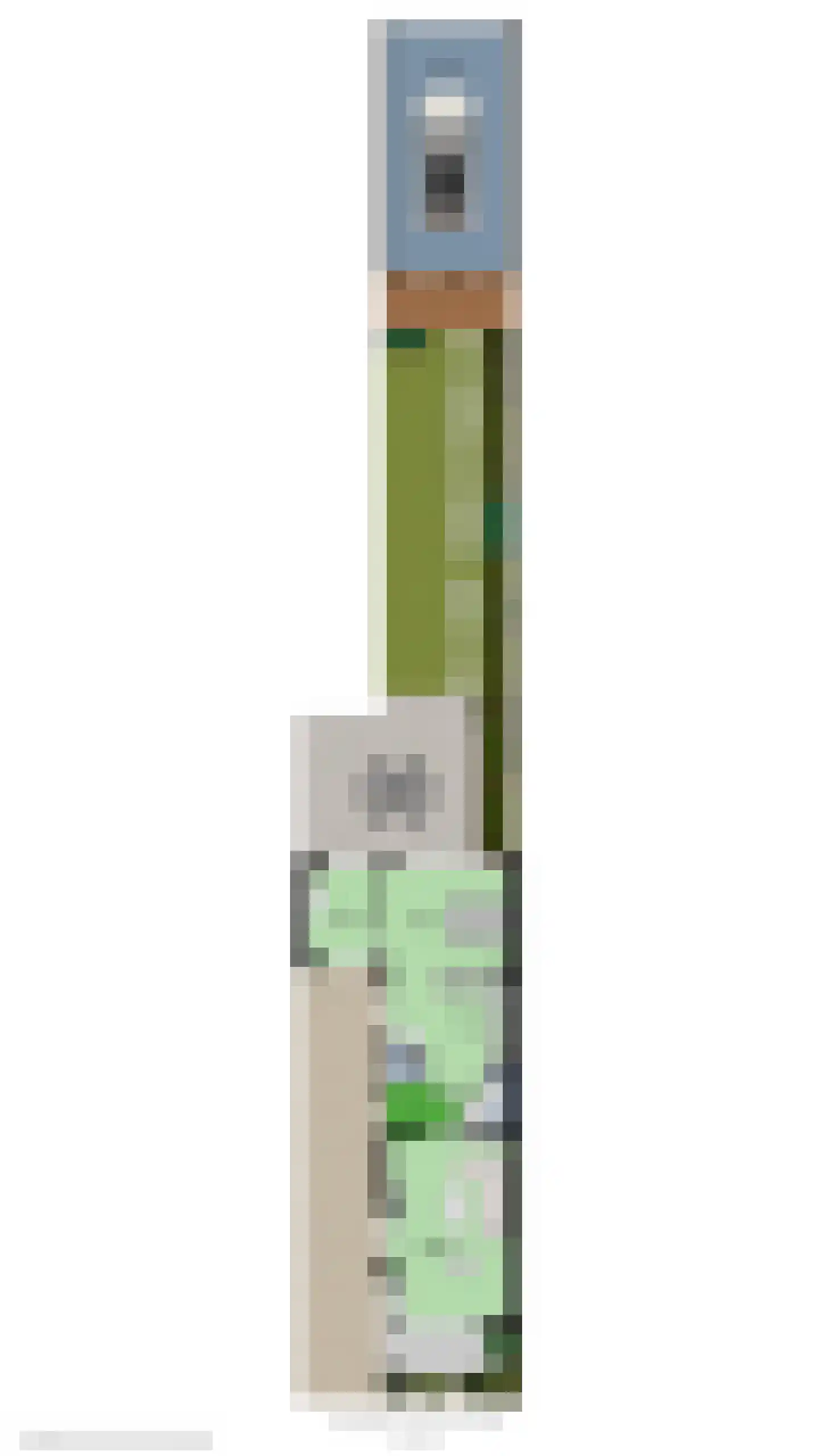 Sloetsweg 52 Hengelo thumbnail 44