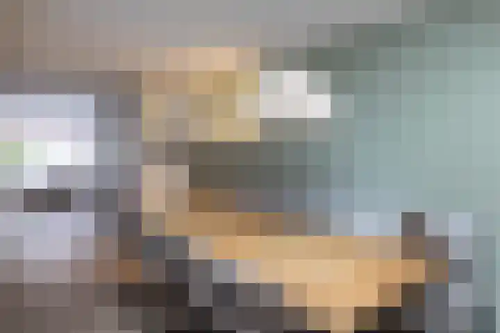 Sloetsweg 54 Hengelo thumbnail 10