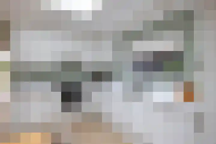Sloetsweg 54 Hengelo thumbnail 11