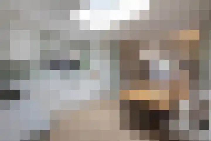 Sloetsweg 54 Hengelo thumbnail 13