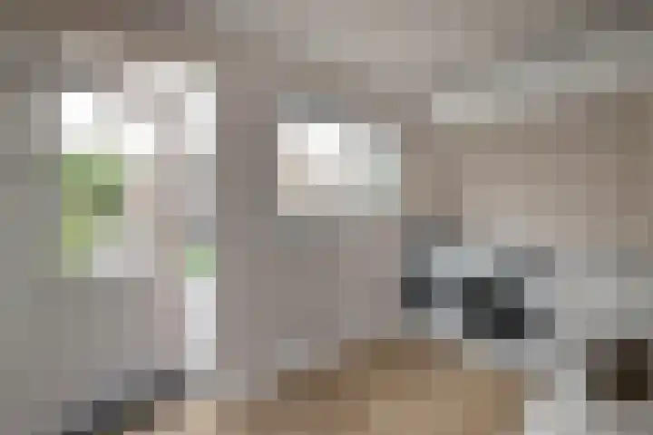 Sloetsweg 54 Hengelo thumbnail 15