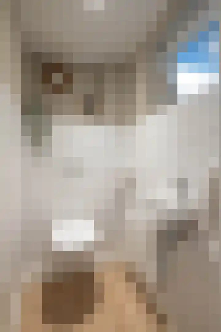 Sloetsweg 54 Hengelo thumbnail 16