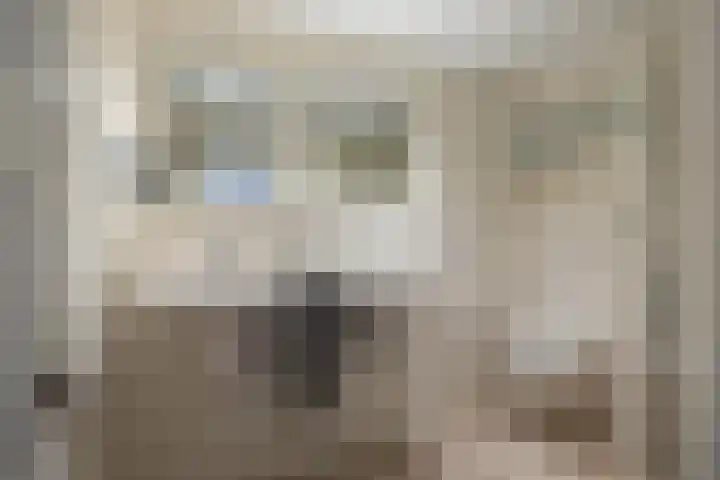 Sloetsweg 54 Hengelo thumbnail 20