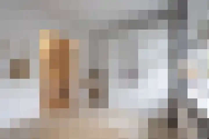 Sloetsweg 54 Hengelo thumbnail 23