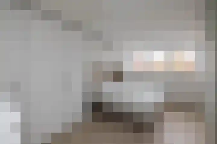 Sloetsweg 54 Hengelo thumbnail 24