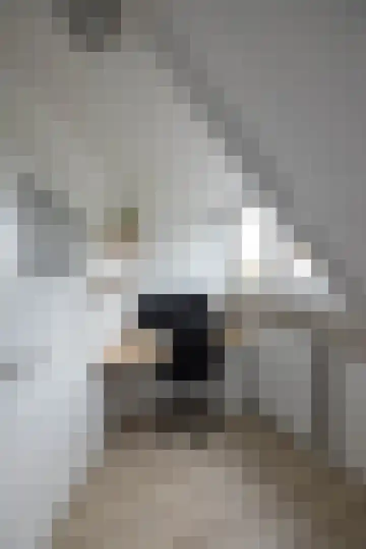 Sloetsweg 54 Hengelo thumbnail 27